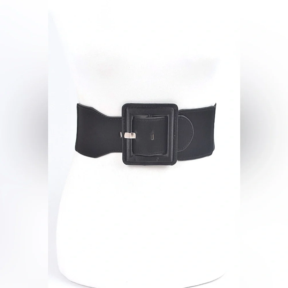 Satin Metallic Elastic Waist Statement Belt